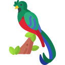 Quetzal